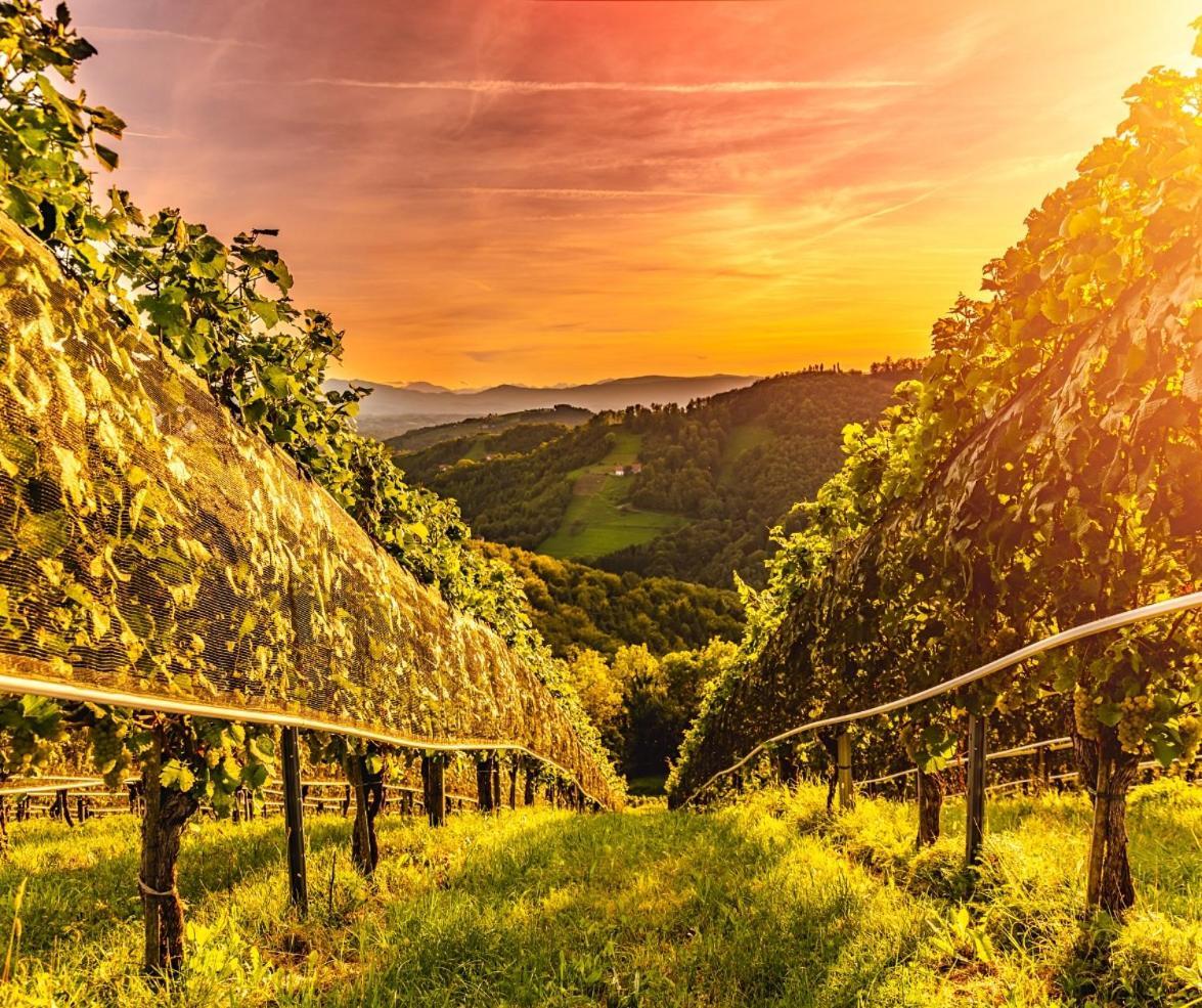 Sankt Nikolai im Sausal Zum Sausaler - Boutique Hotel-Pension Suedsteiermark מראה חיצוני תמונה